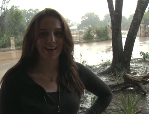 Kitty and Andrew’s video update: Austin weather